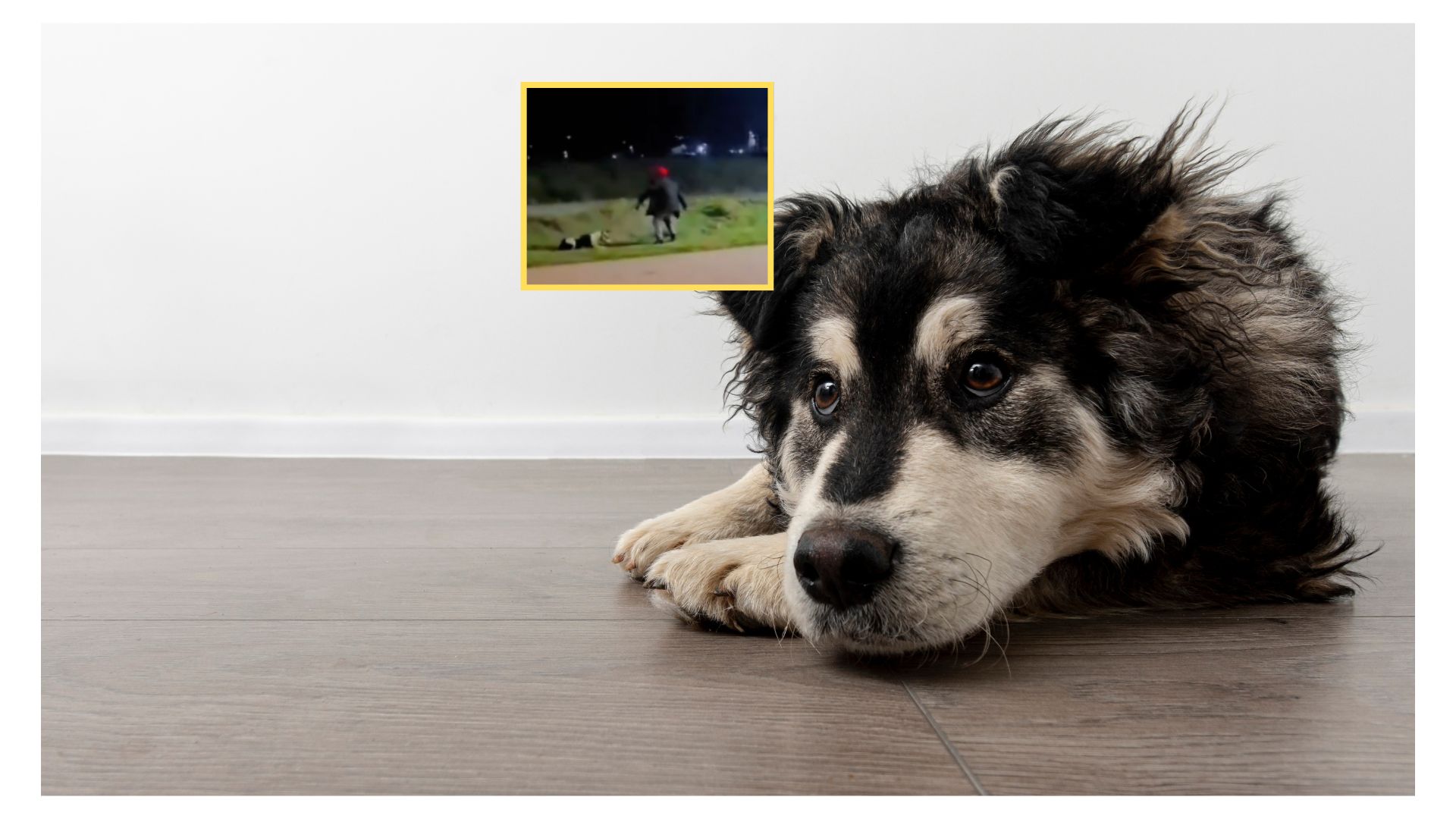 Imagen noticia seccion