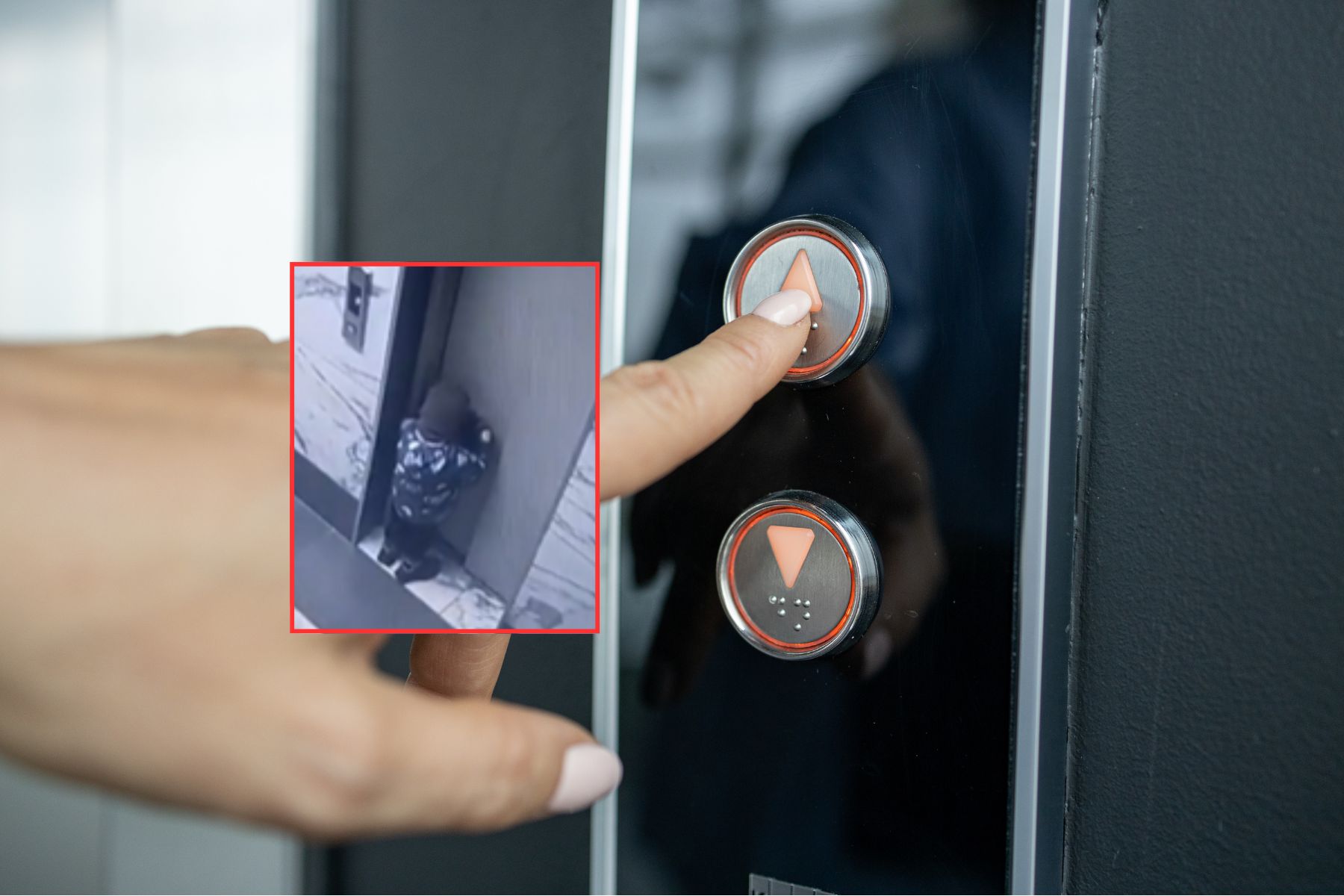 Imagen noticia seccion