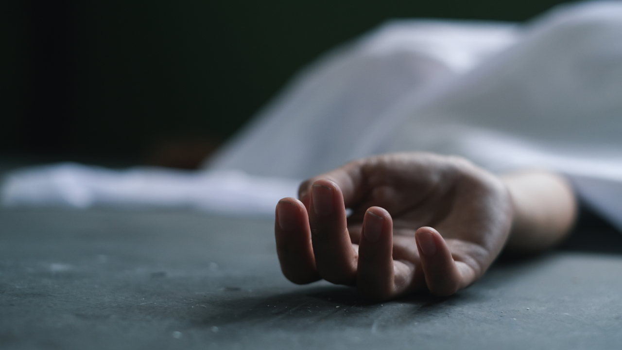 Imagen noticia seccion