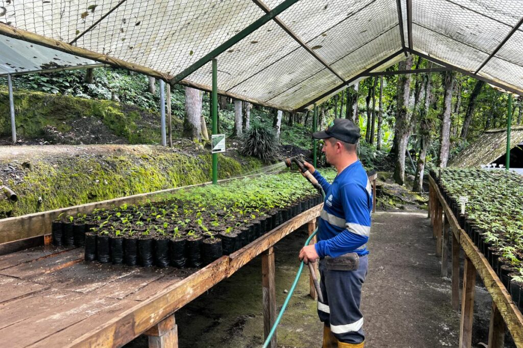 Compañías Muzo y sus proyectos alrededor de la extracción de esmeralda más linda del mundo / Pulzo