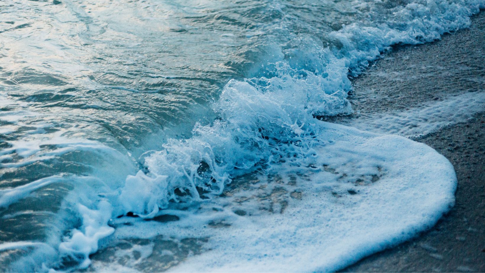 Imagen noticia seccion