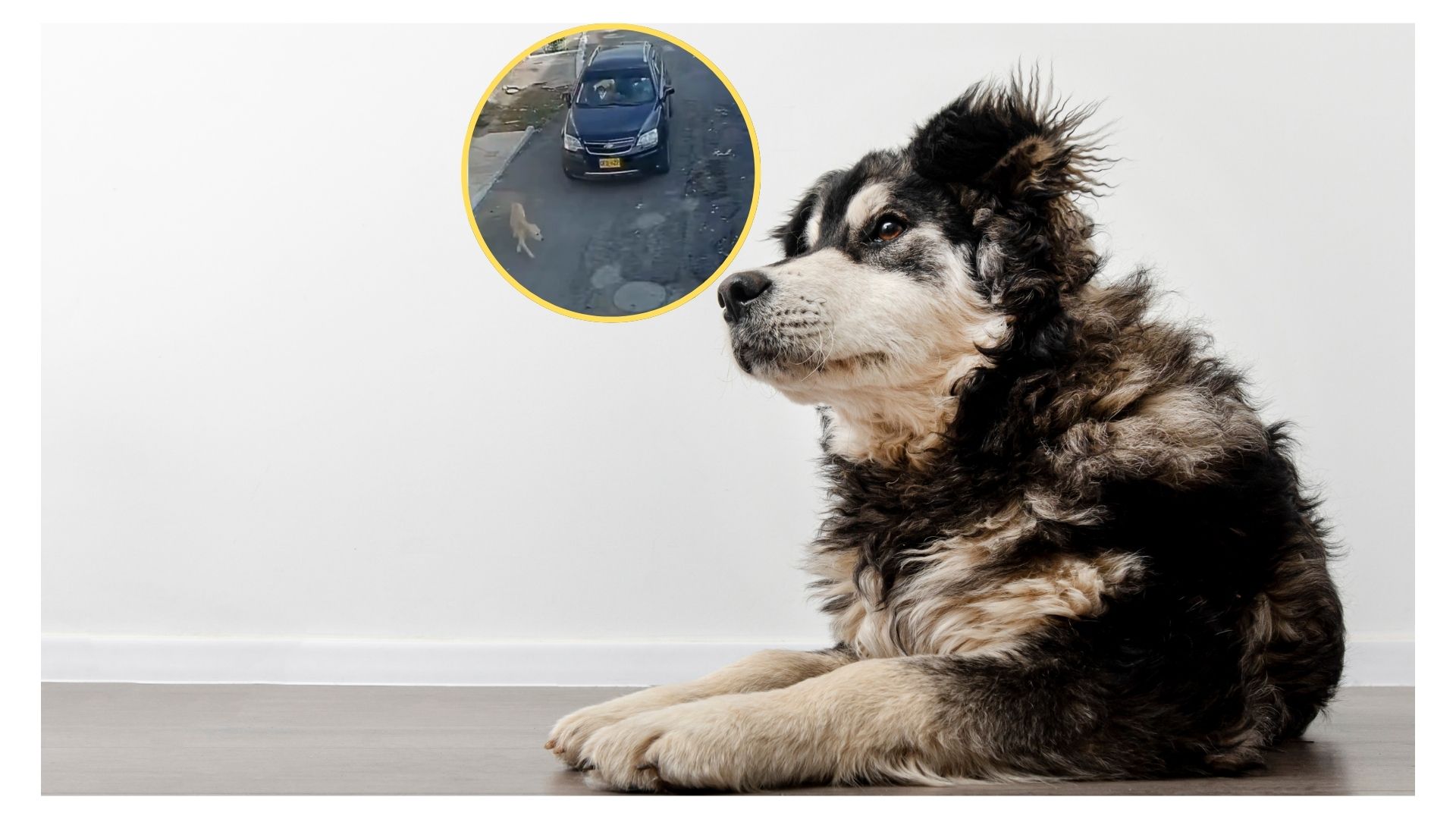 Imagen noticia seccion