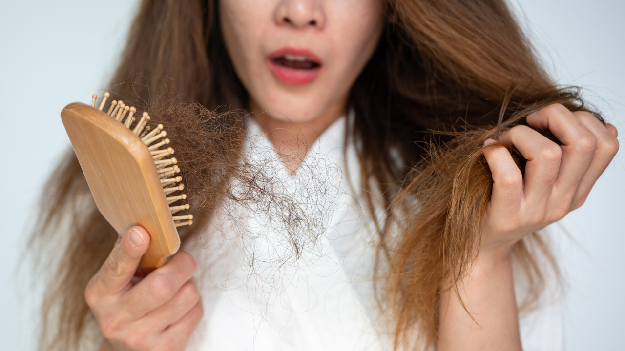 Imagen noticia seccion