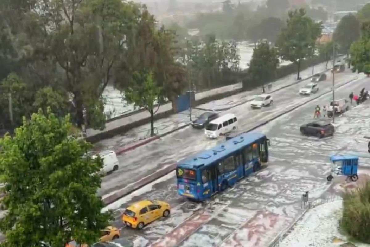 Imagen noticia seccion