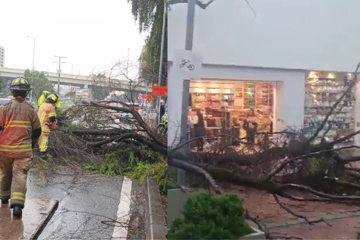 Imagen noticia seccion