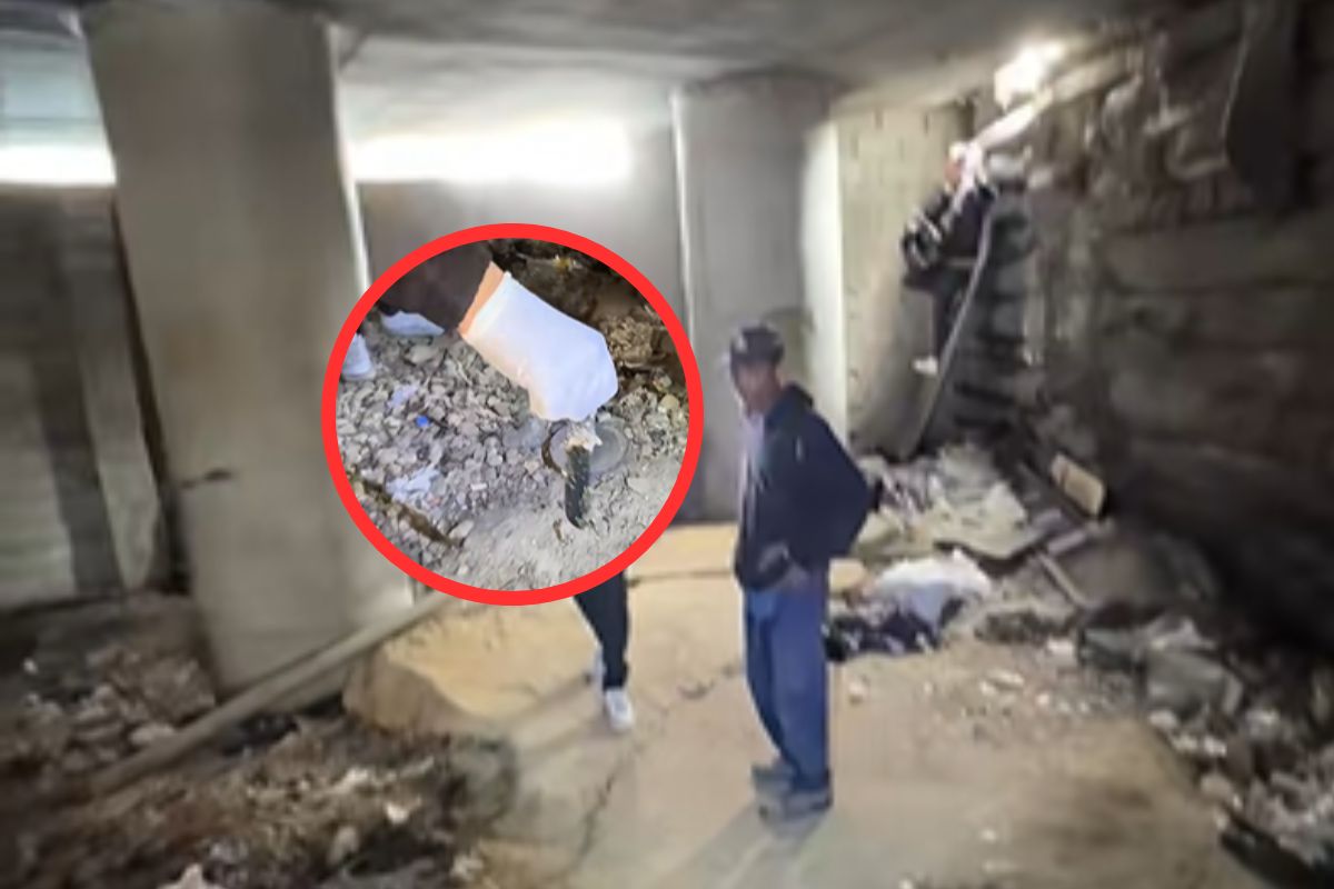 Imagen noticia seccion