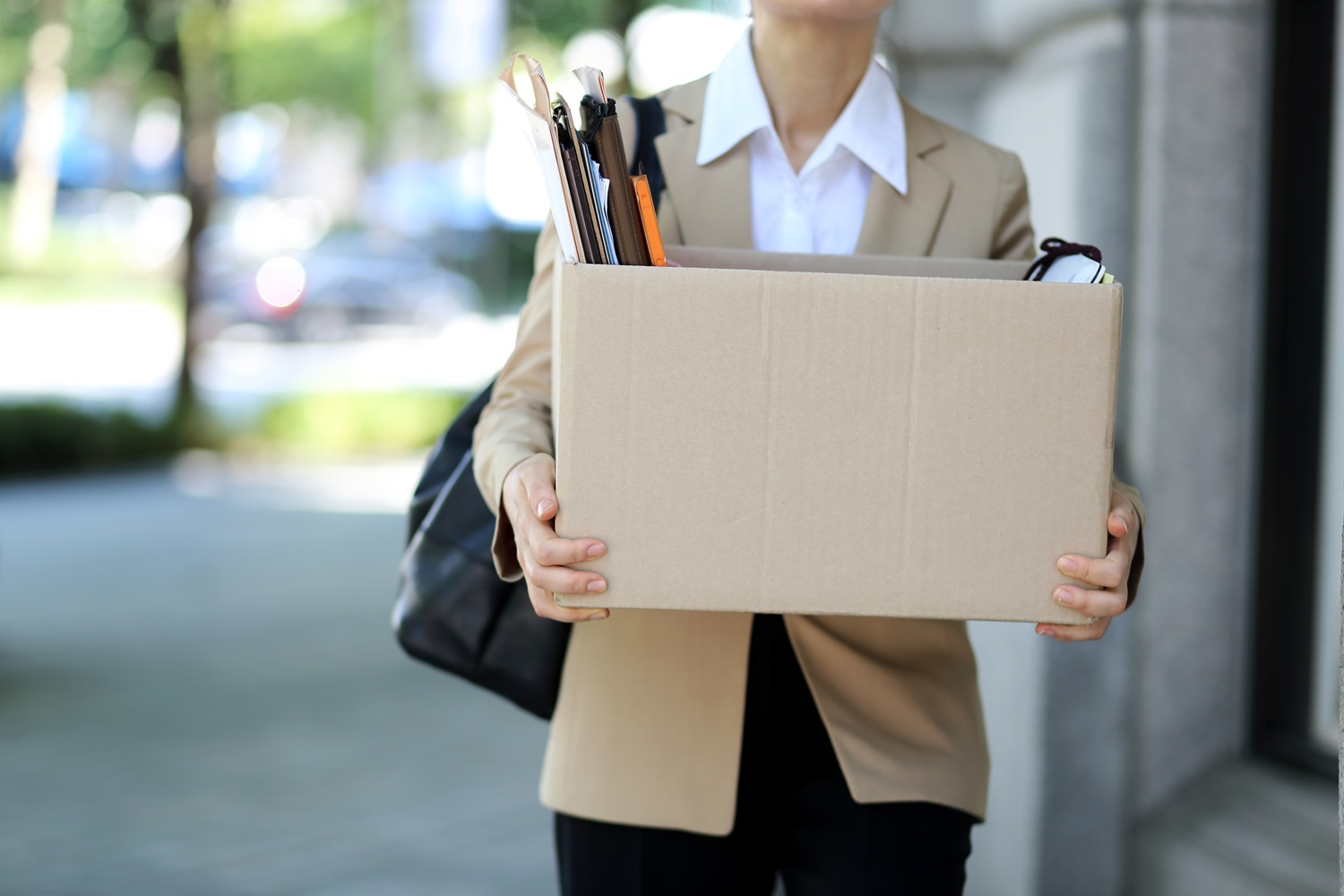 Imagen noticia seccion