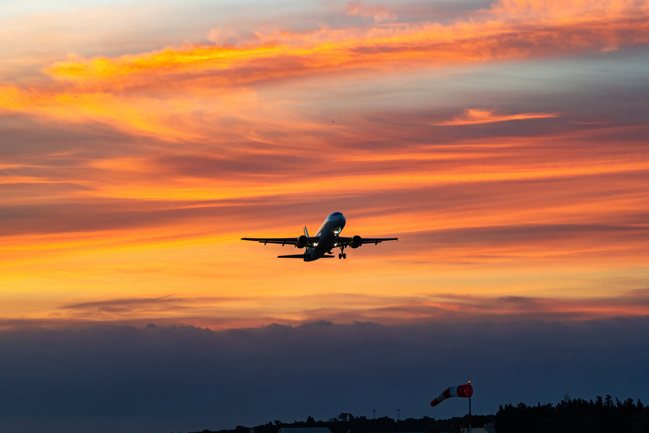 Imagen noticia seccion