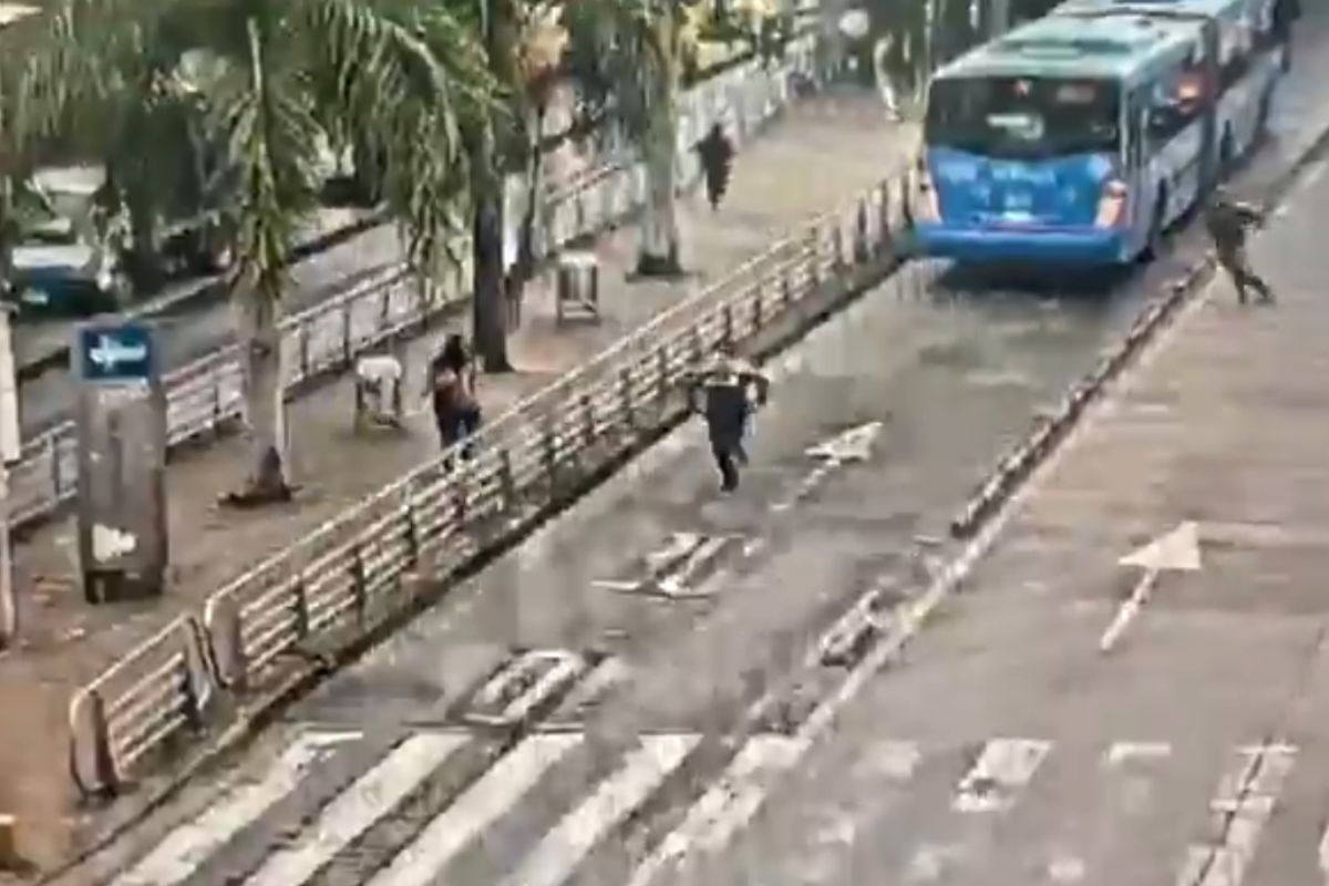 Imagen noticia seccion