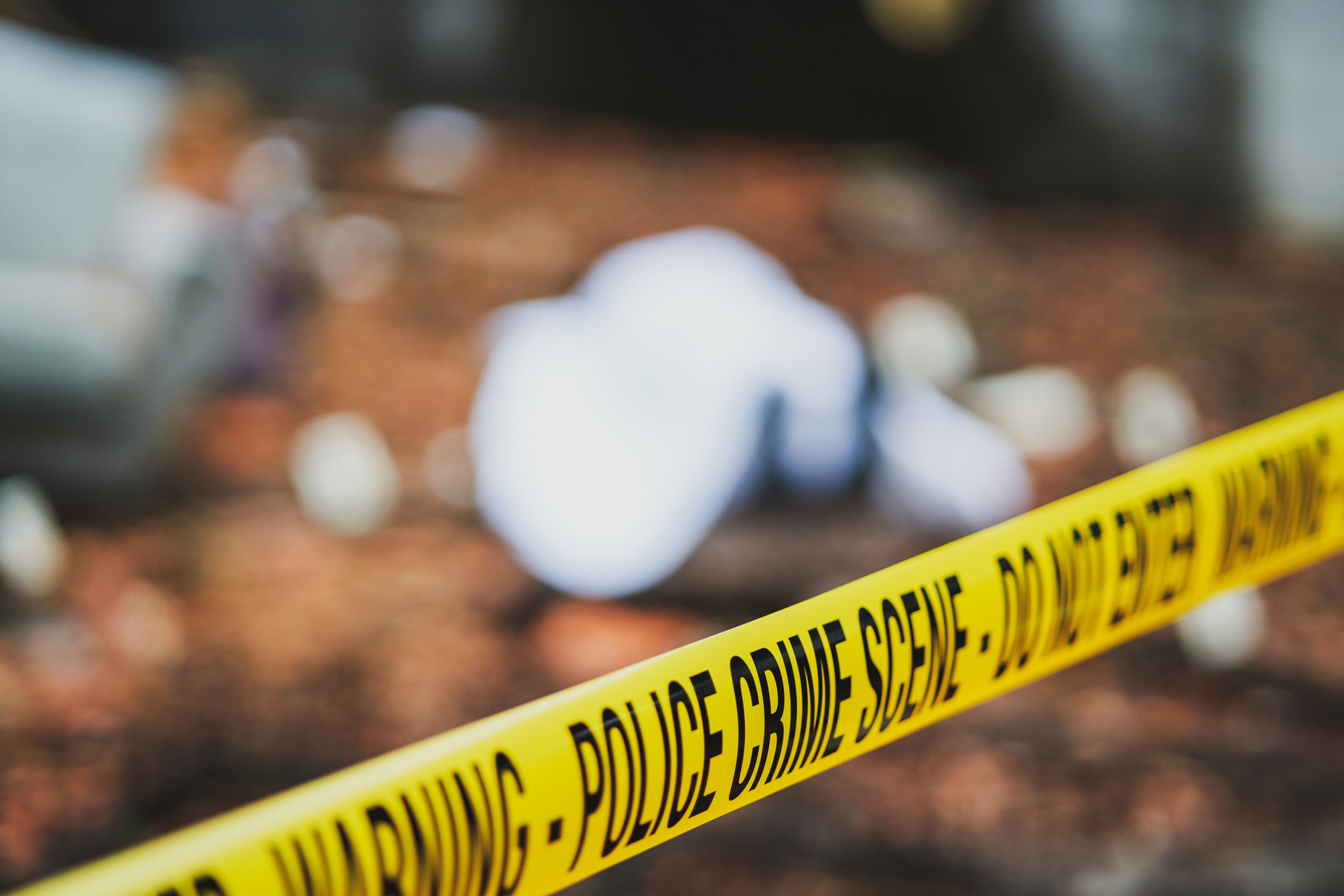 Imagen noticia seccion