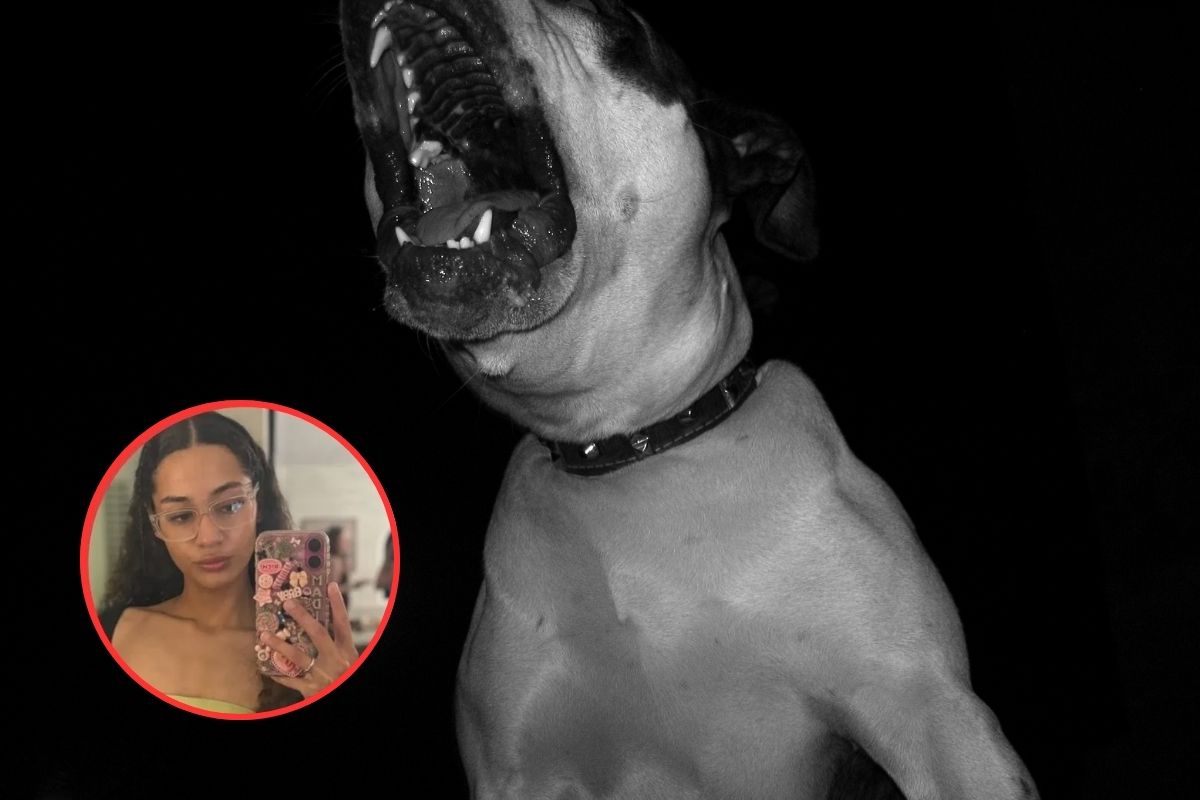 Imagen noticia seccion