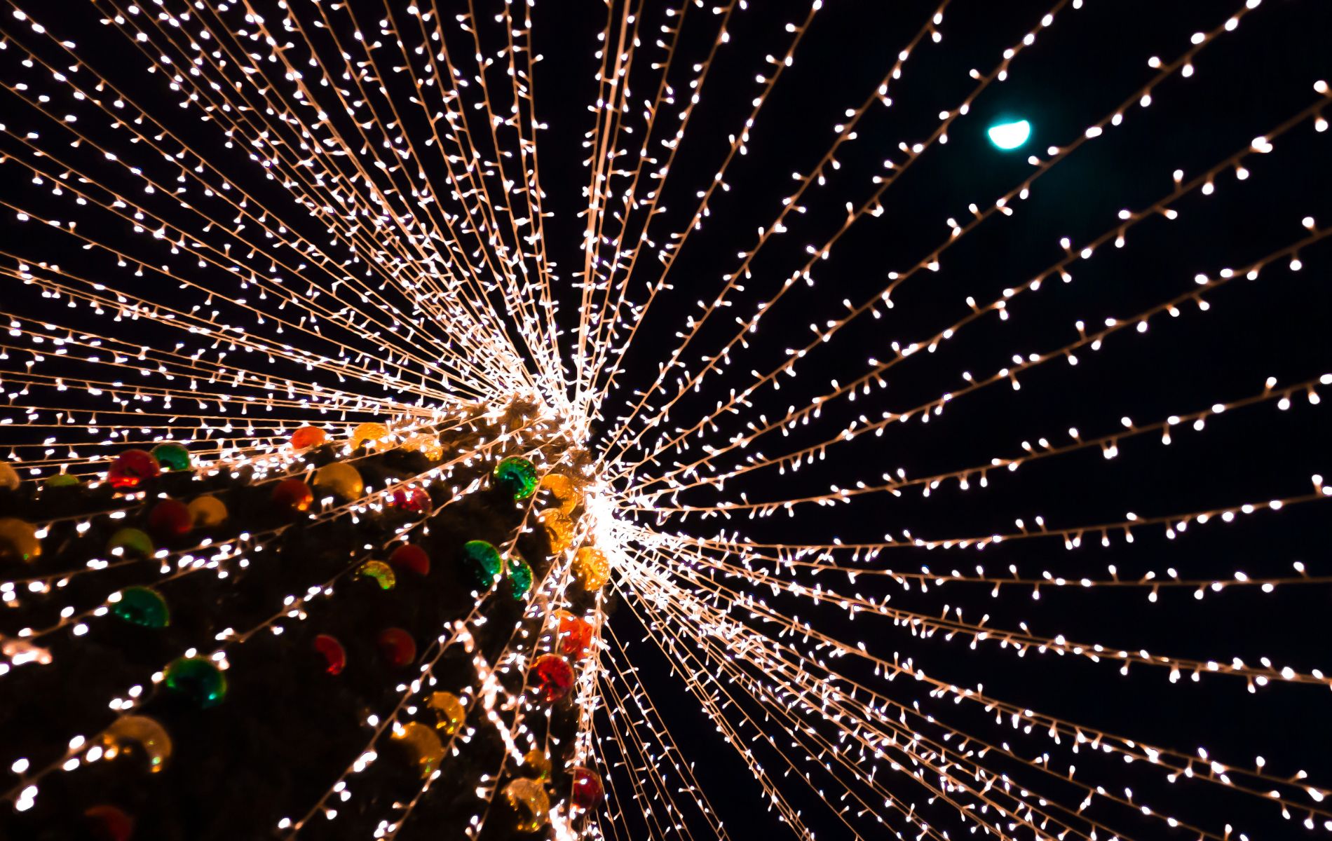 Imagen noticia seccion