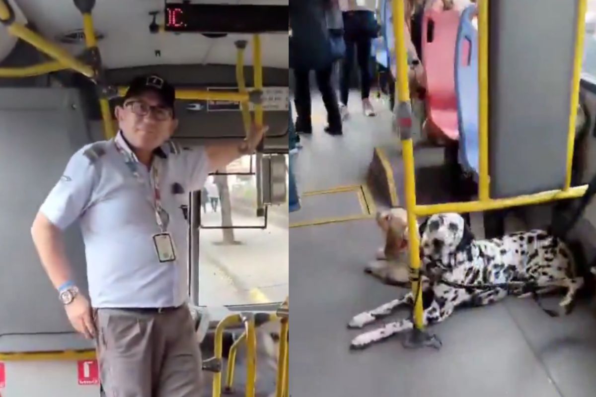 Imagen noticia seccion