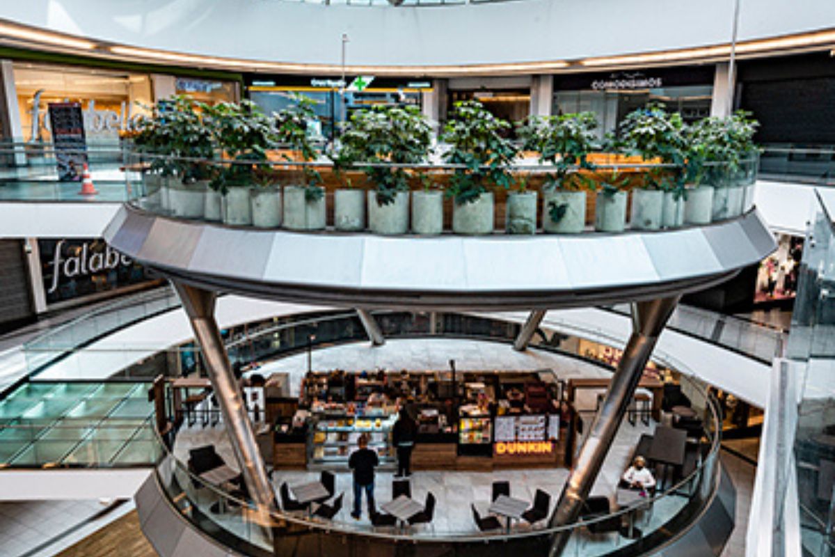 Imagen noticia seccion