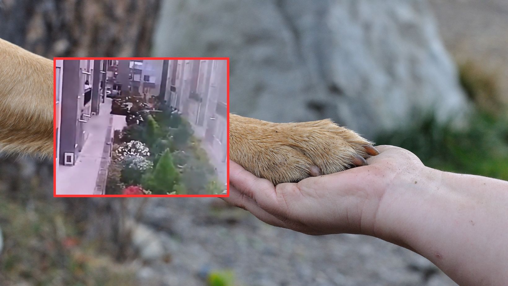 Imagen noticia seccion