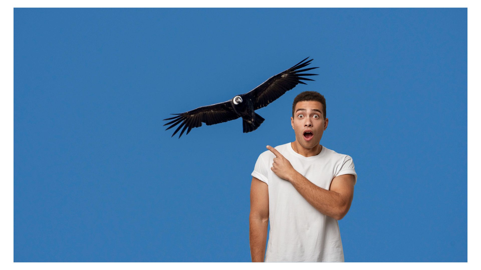 Imagen noticia seccion