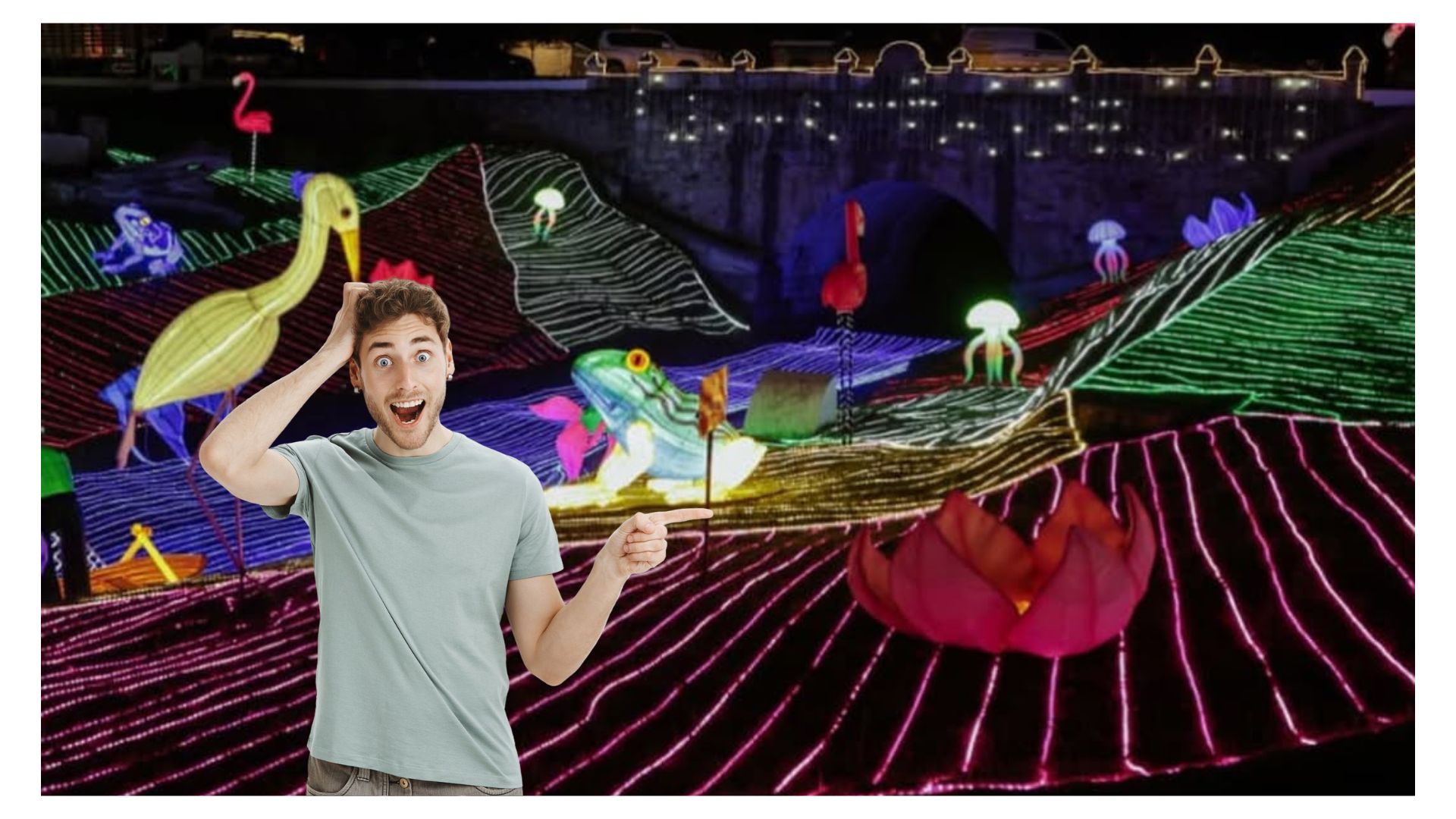 Imagen noticia seccion