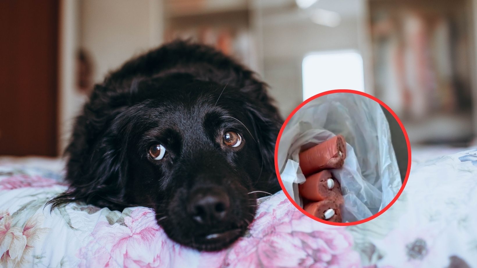 Imagen noticia seccion