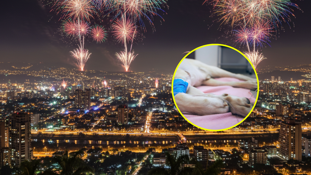 Imagen noticia seccion