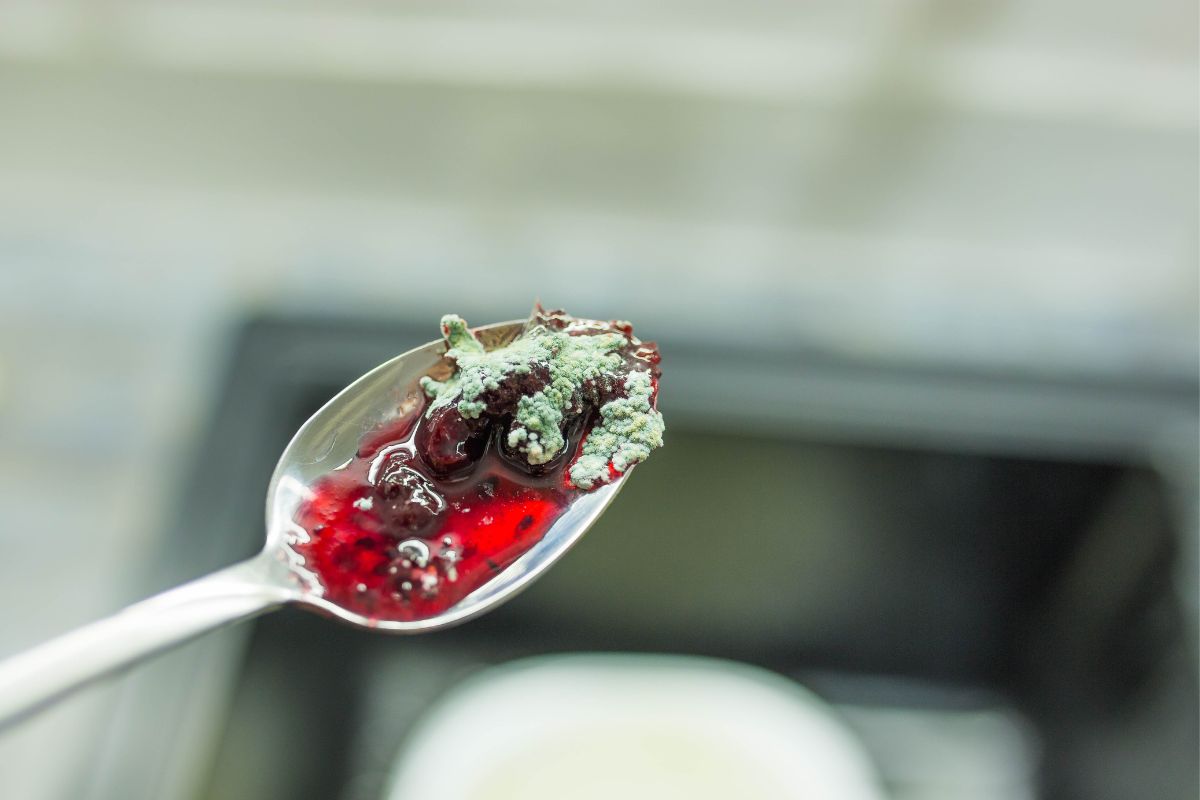 Imagen noticia seccion