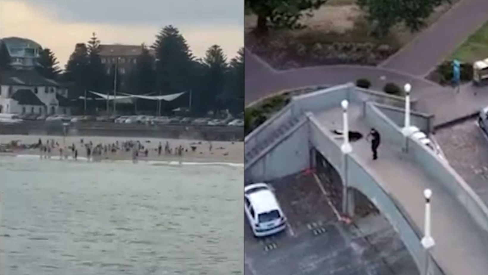 Habló colombiano que presenció tiroteo en Australia donde murieron 15 personas