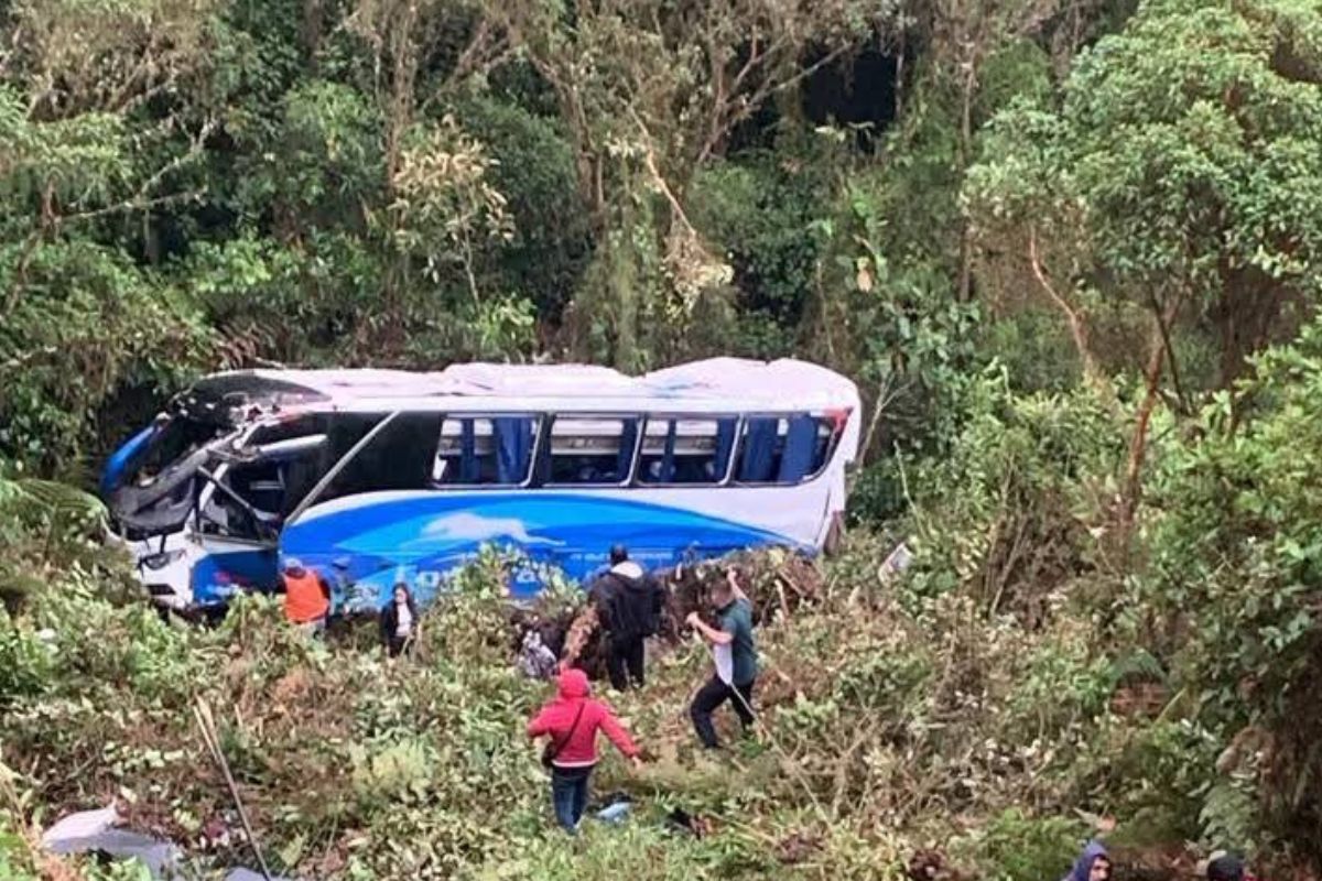 Imagen noticia seccion