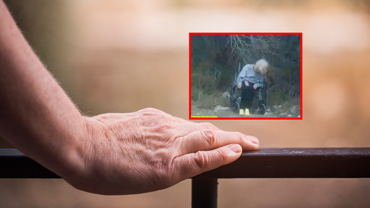 Imagen noticia seccion