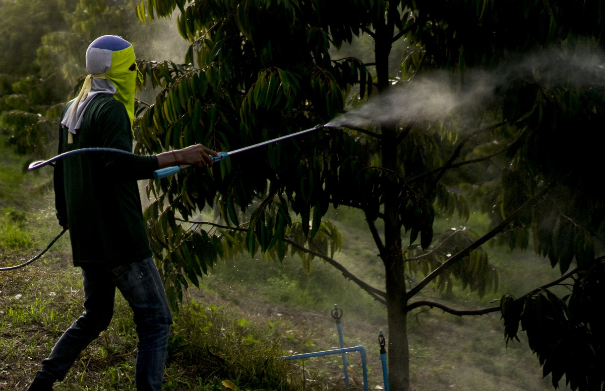 Imagen ilustrativa de fumigación con glifosato 