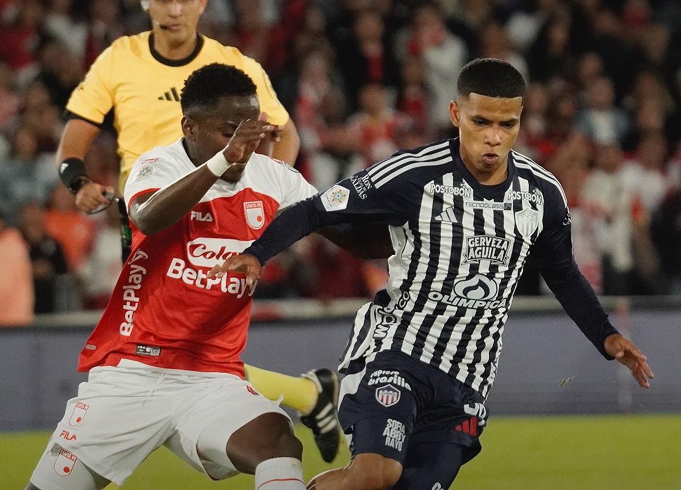 Imagen noticia seccion