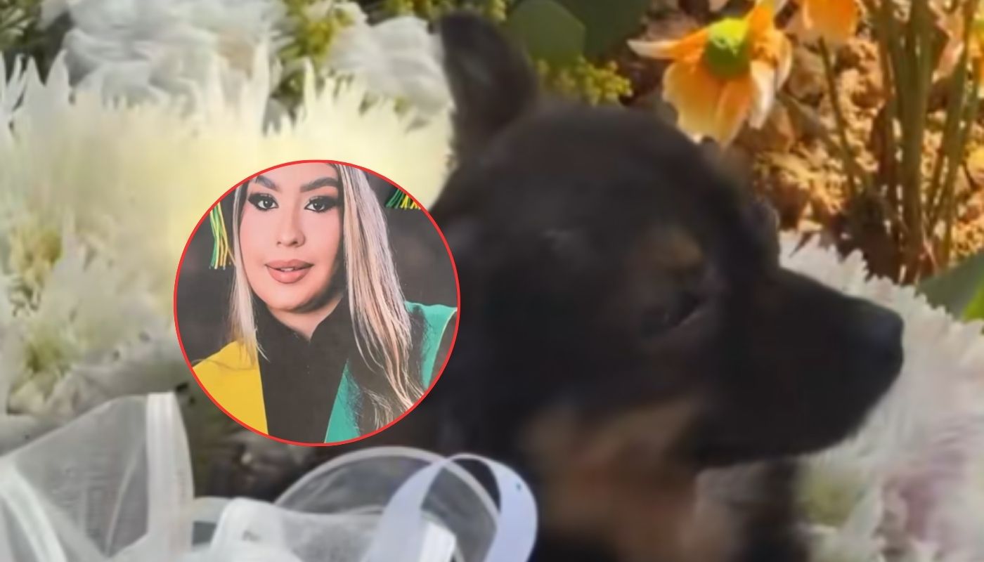 Mascota conmovió al llorar en la tumba de estudiante que murió en accidente