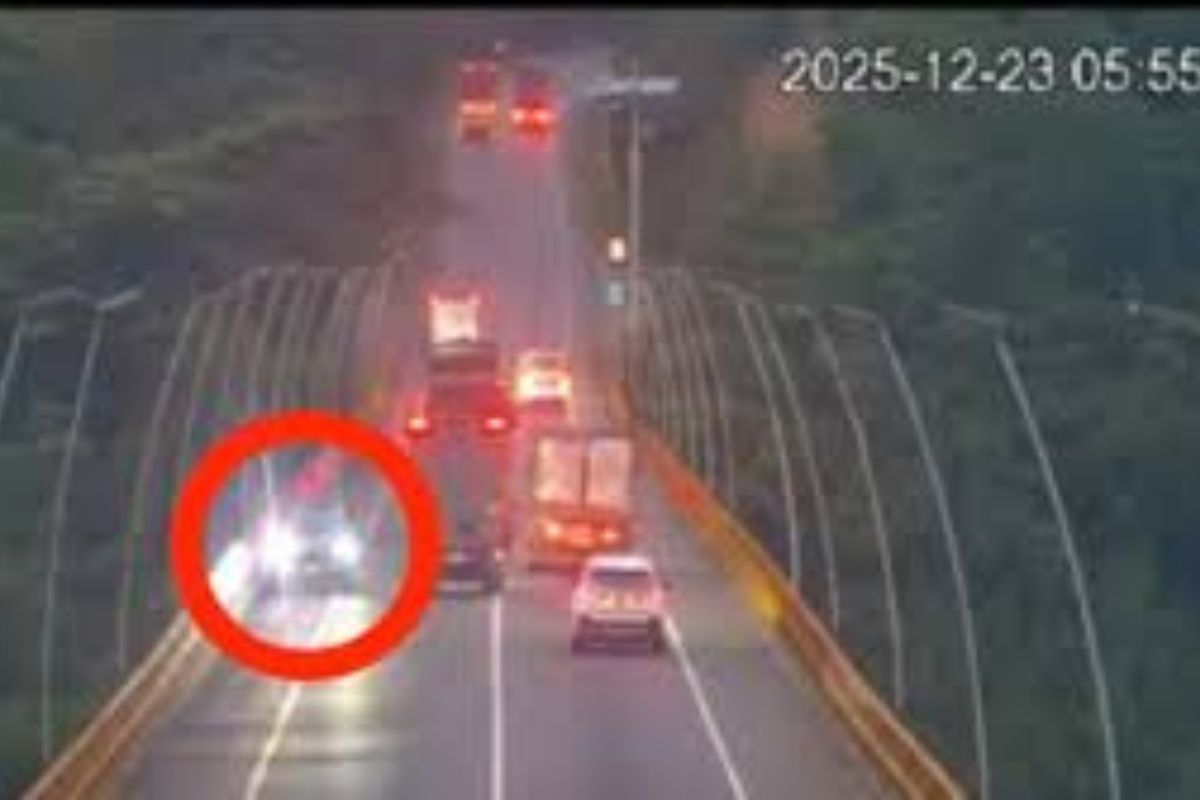 Imagen noticia seccion