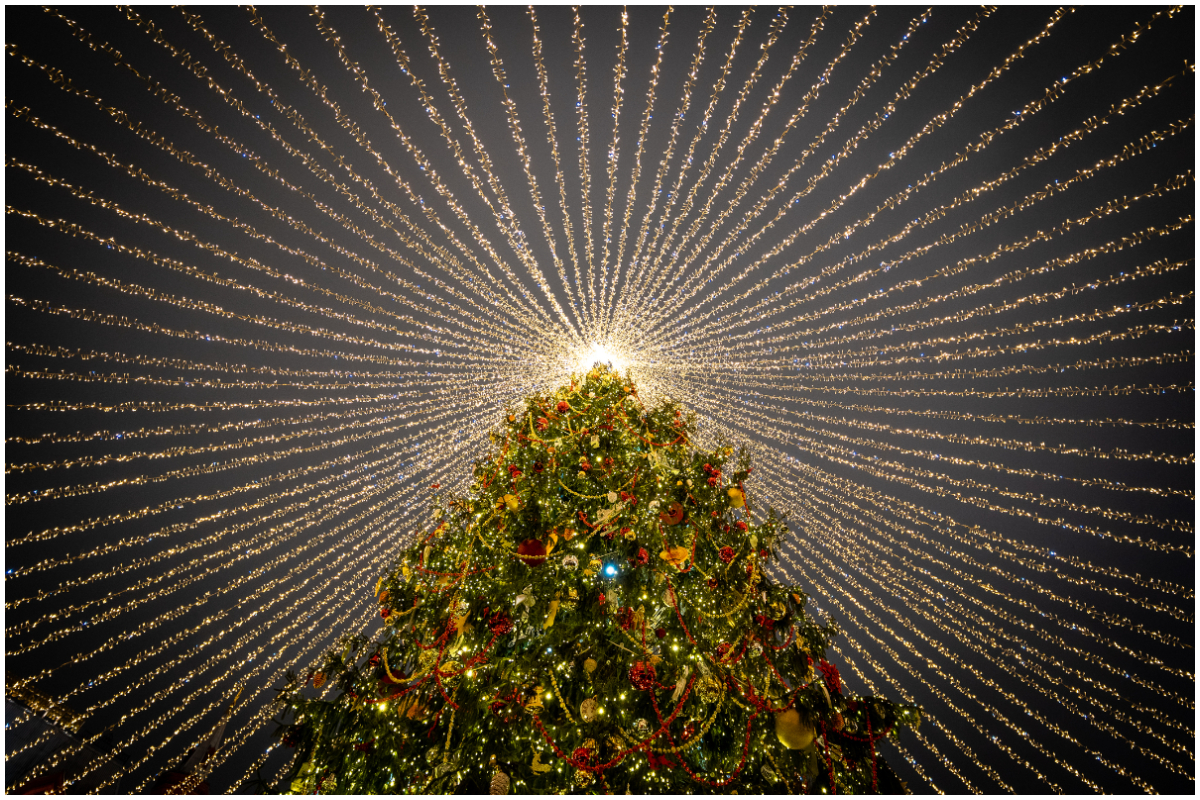 Imagen noticia seccion