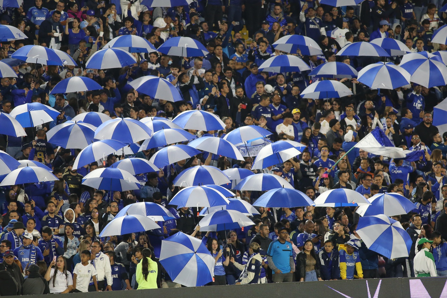Hinchas de Millonarios