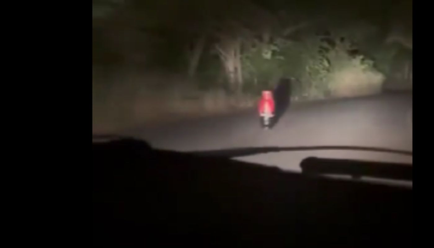 Alertan por posible presencia de cilindro bomba en vía de Tolima