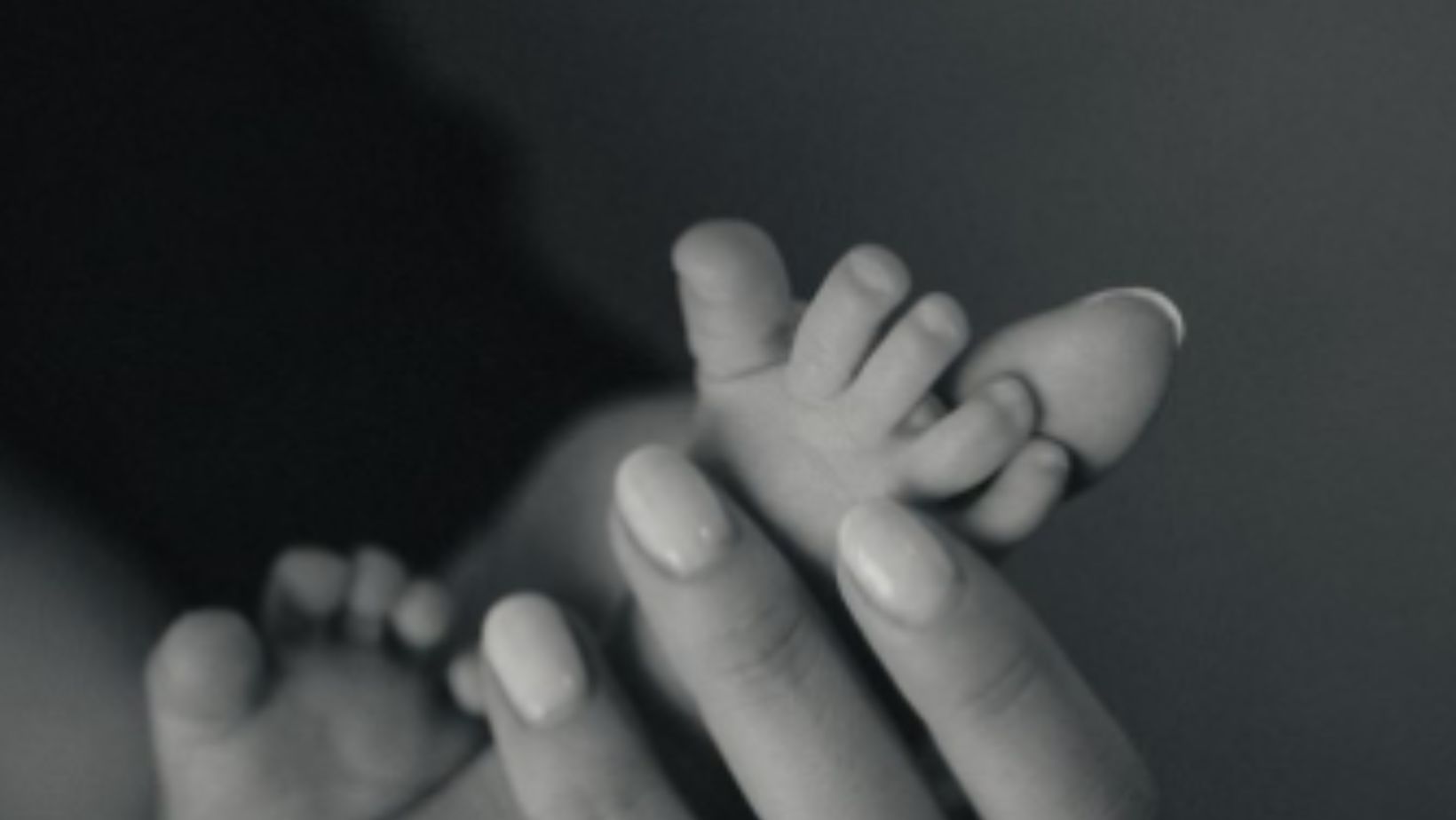 Imagen noticia seccion