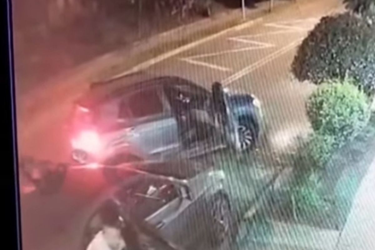 Imagen noticia seccion