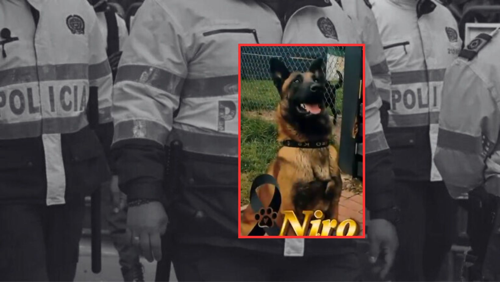 Imagen noticia seccion