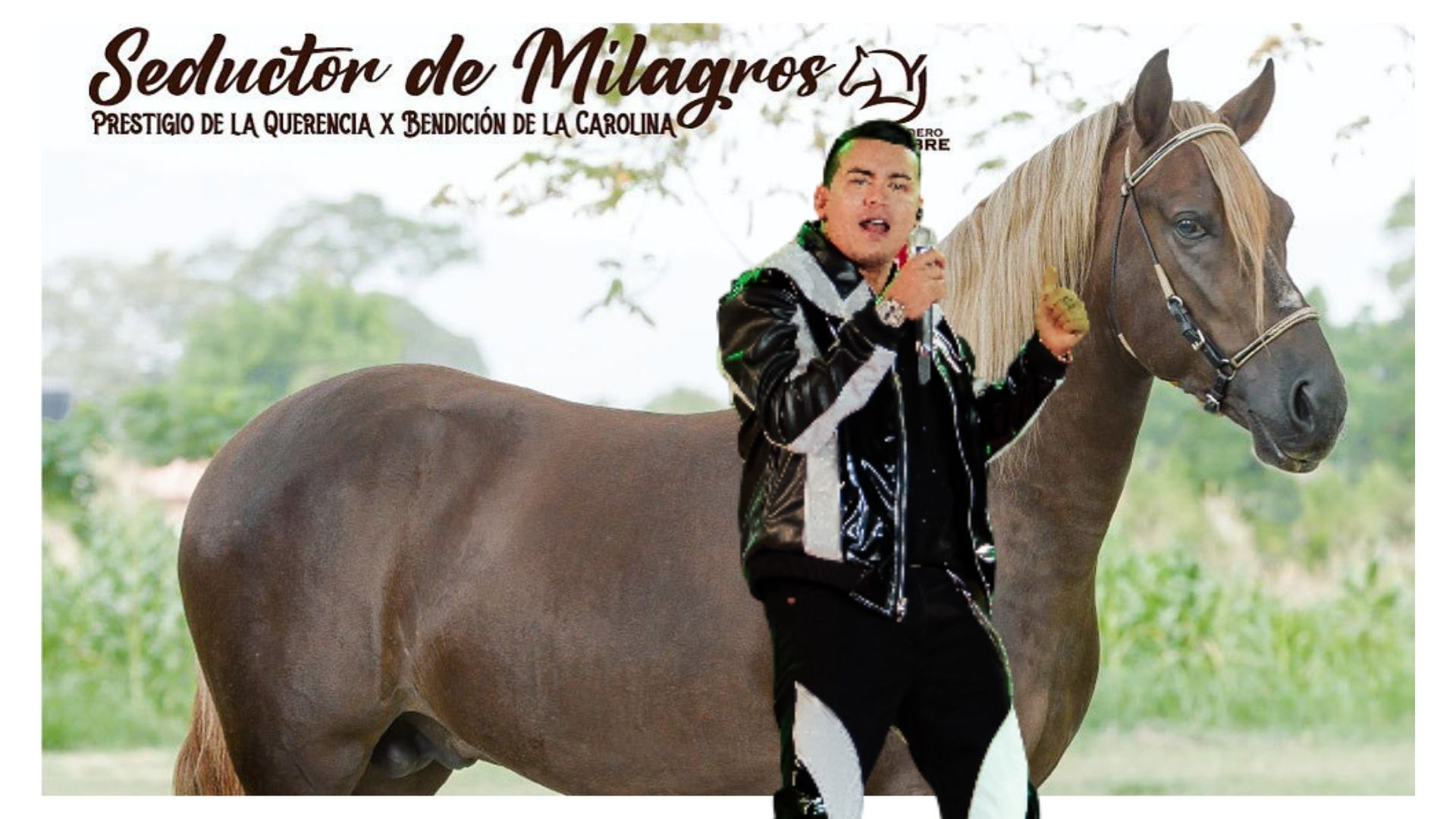 Imagen noticia seccion