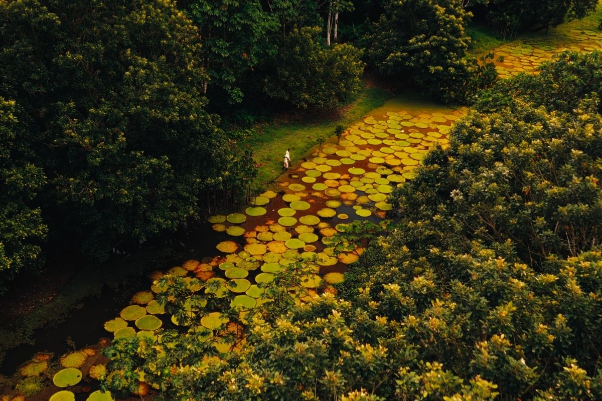 Imagen noticia seccion