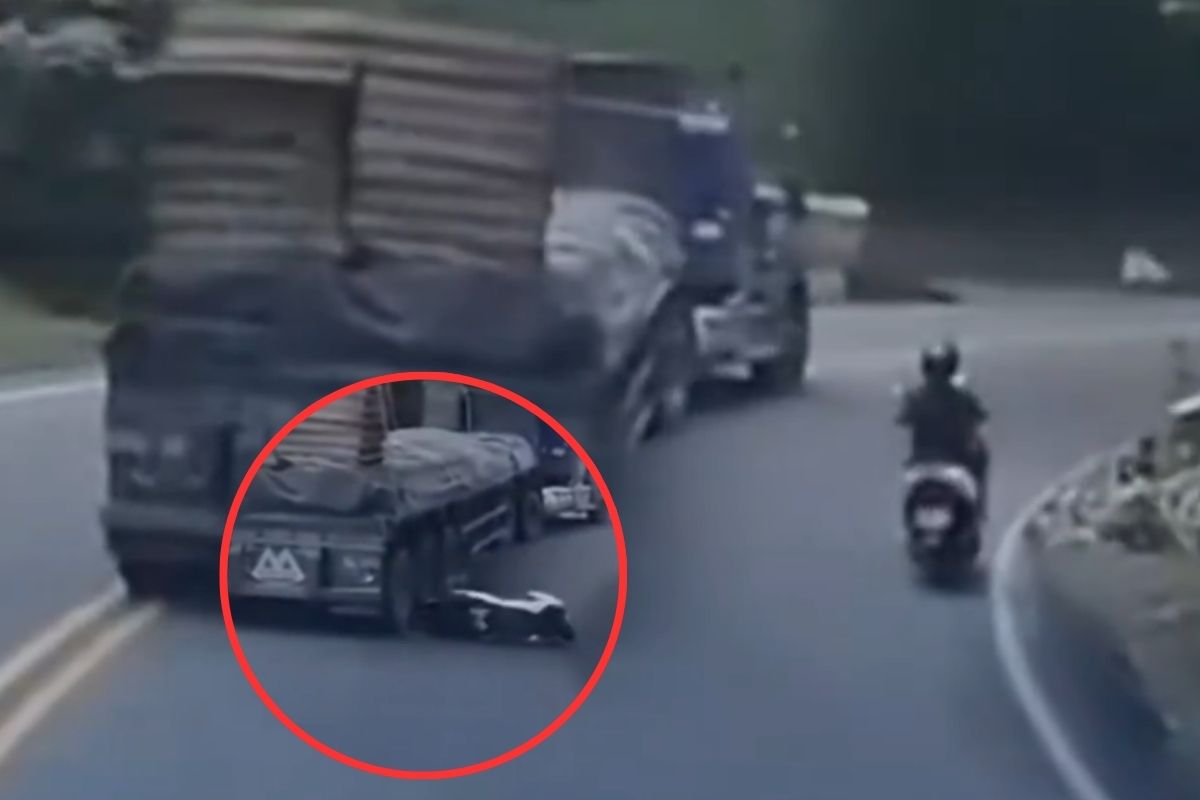 Imagen noticia seccion