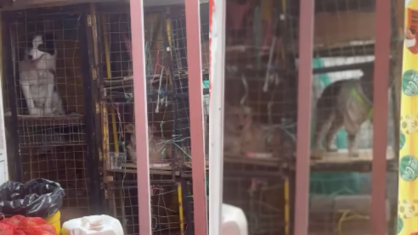 Imagen noticia seccion