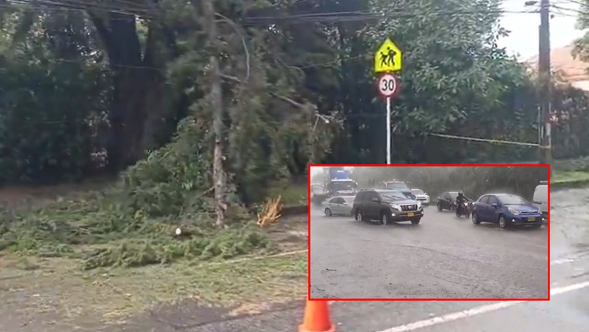 Imagen noticia seccion