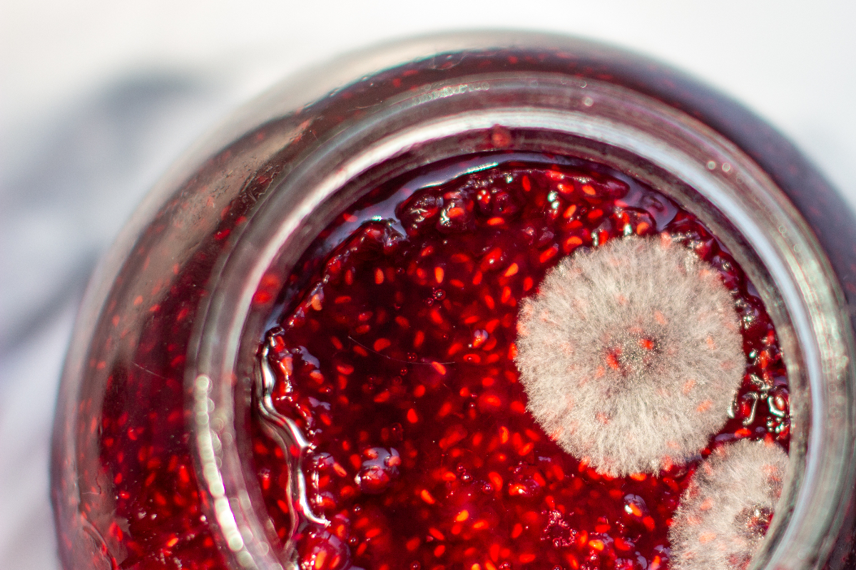 Imagen noticia seccion