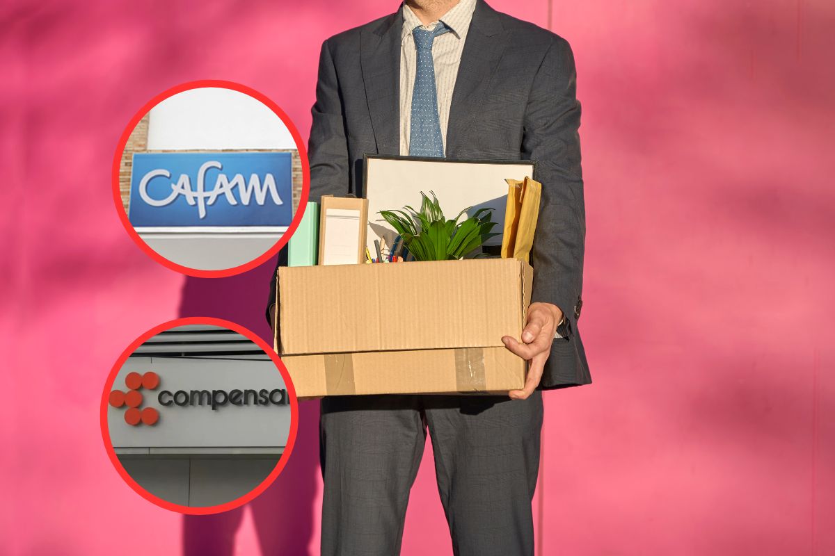 Imagen noticia seccion