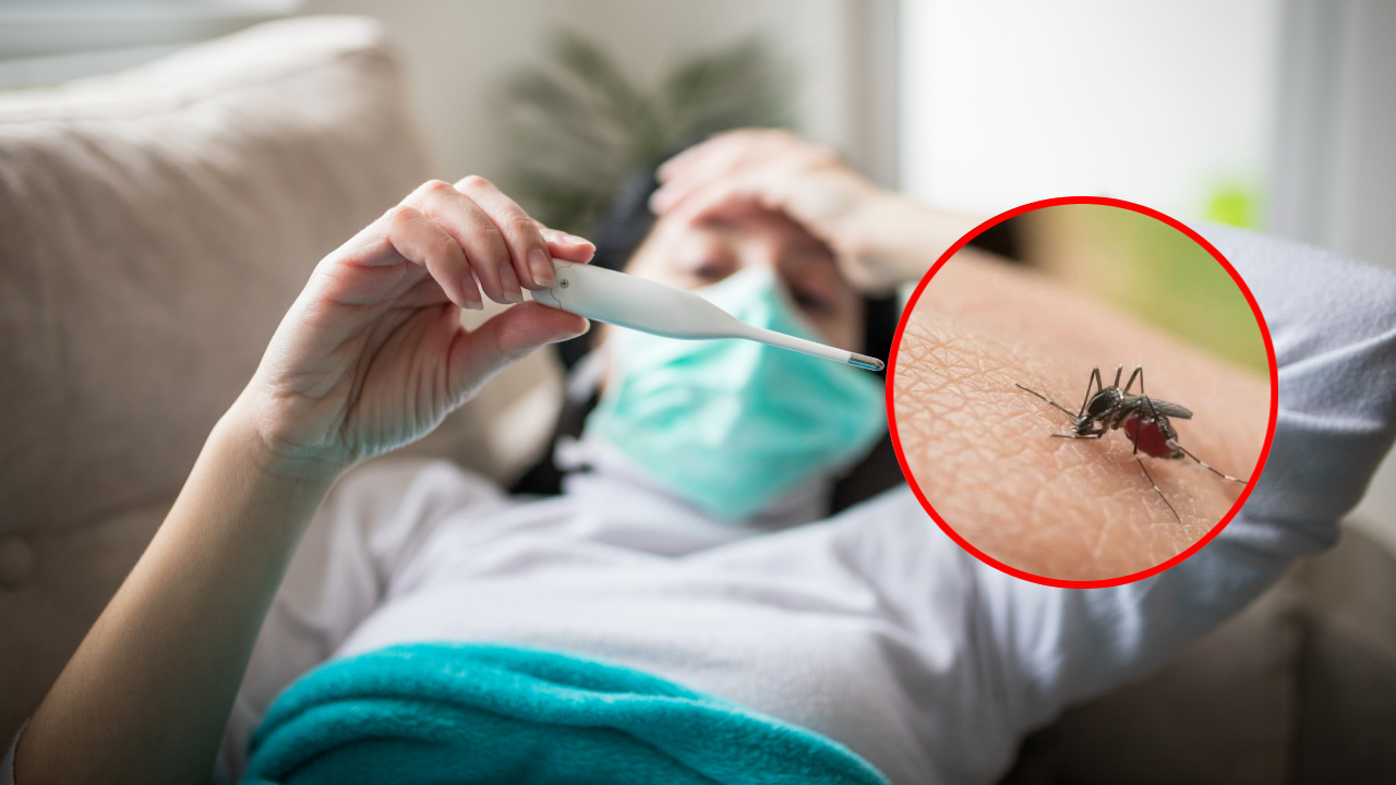 Imagen noticia seccion