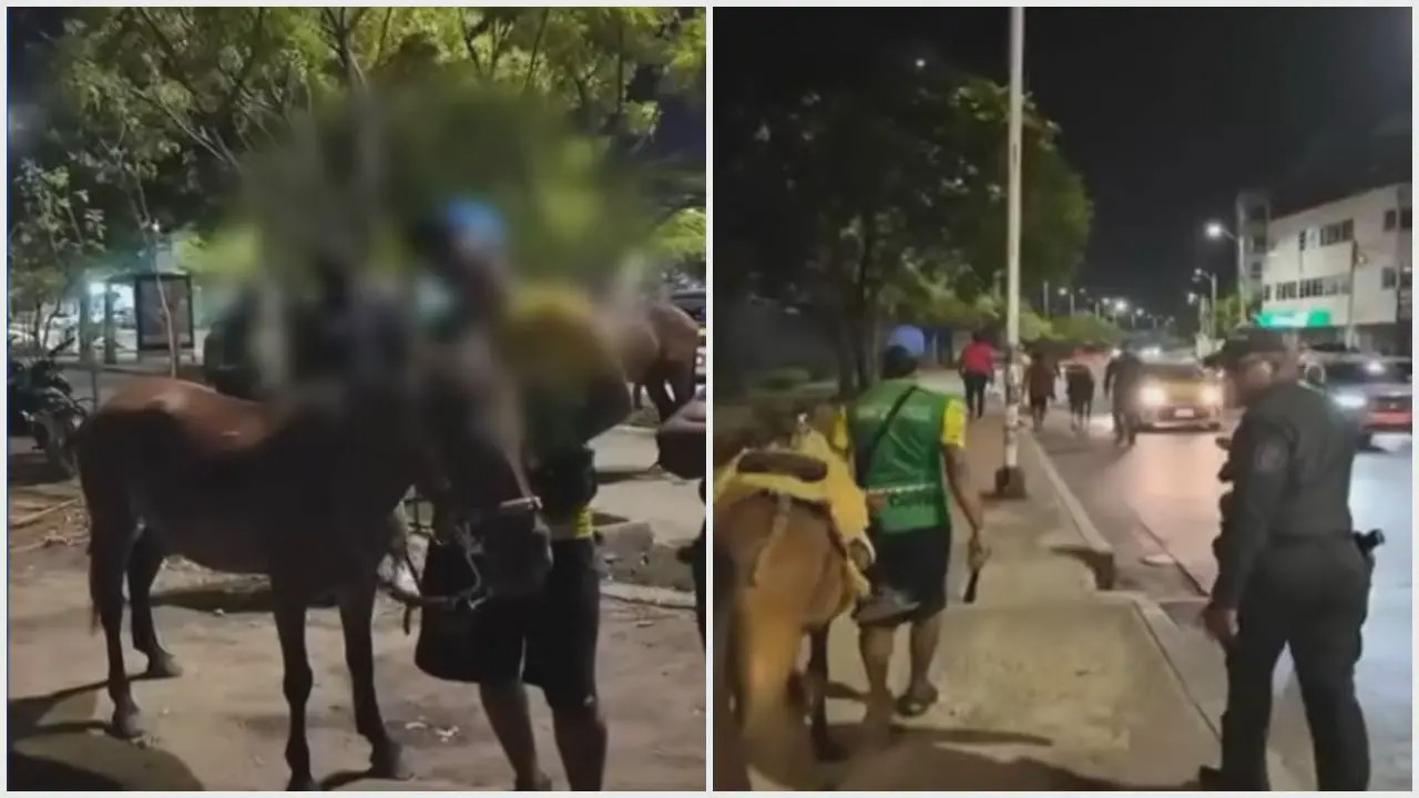 Imagen noticia seccion