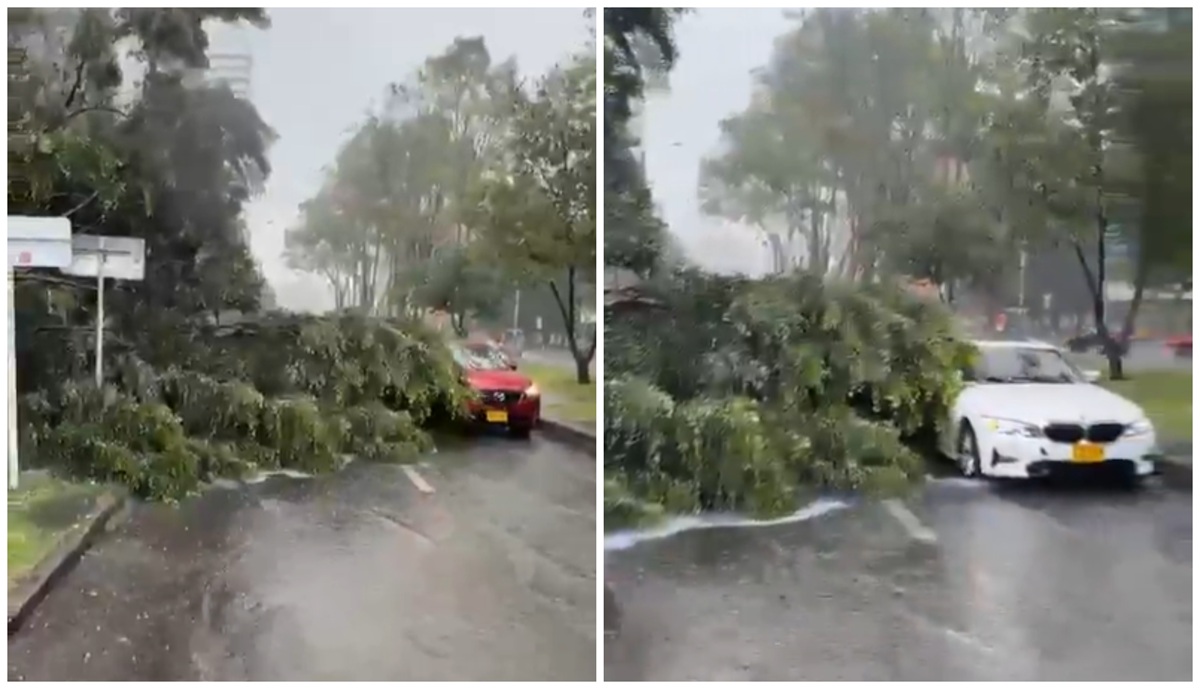 Imagen noticia seccion