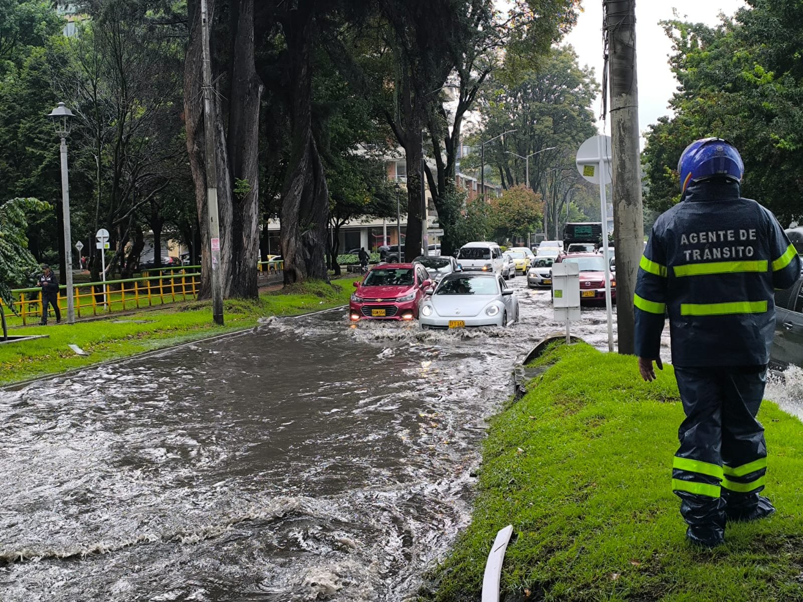 Imagen noticia seccion