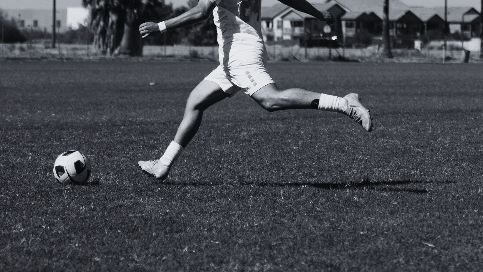 Imagen noticia seccion