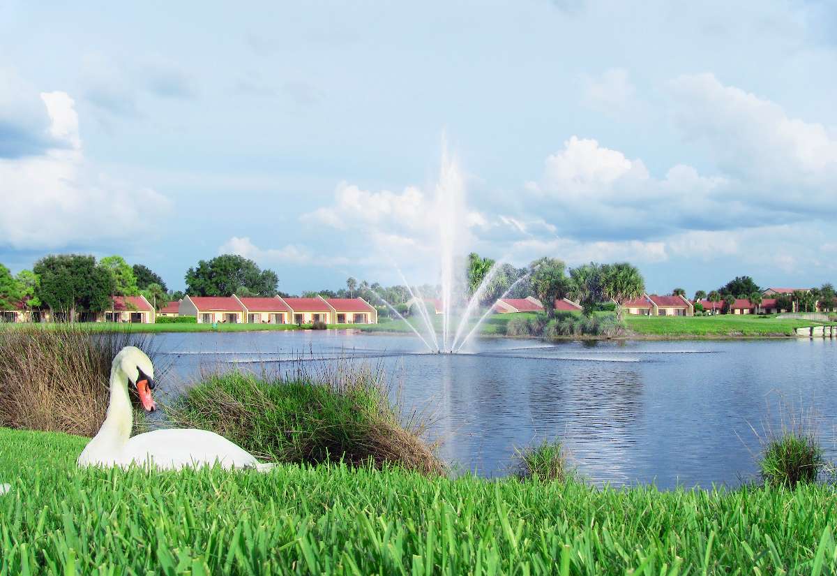 Cómo llegar a Kissimmee, en Florida, cerca a Miami para ver Portugal vs Colombia